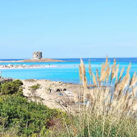 Geranio Rosso 3*