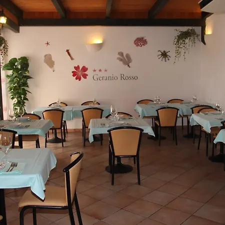 Geranio Rosso 3*
