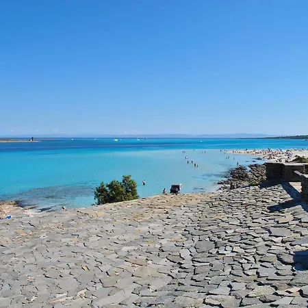 Geranio Rosso Stintino