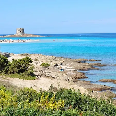 Otel Geranio Rosso Stintino