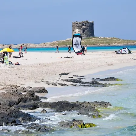 Geranio Rosso Stintino