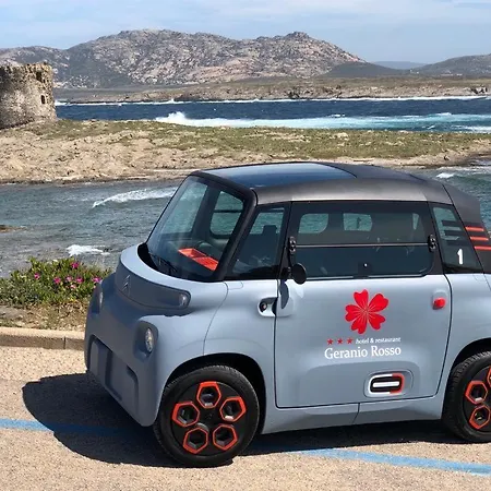 Geranio Rosso Stintino