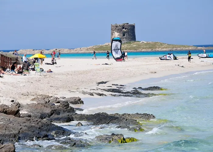 Geranio Rosso 斯廷蒂诺