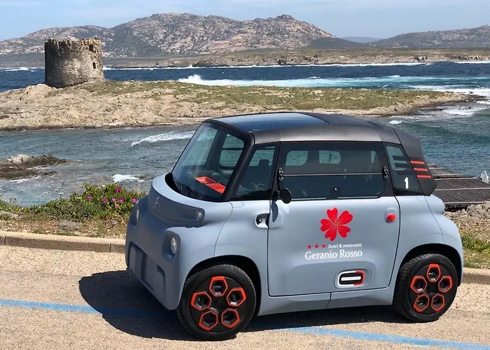 Geranio Rosso 斯廷蒂诺