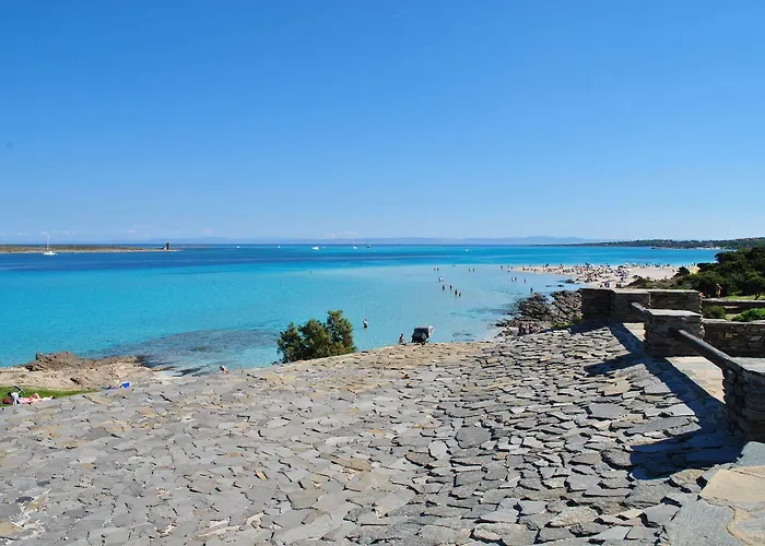 Geranio Rosso 斯廷蒂诺